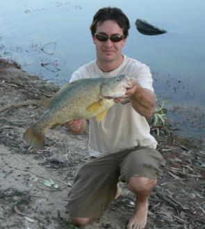 A Riverside yellowbelly estimated at around 2.5kg caught on a spinnerbait.